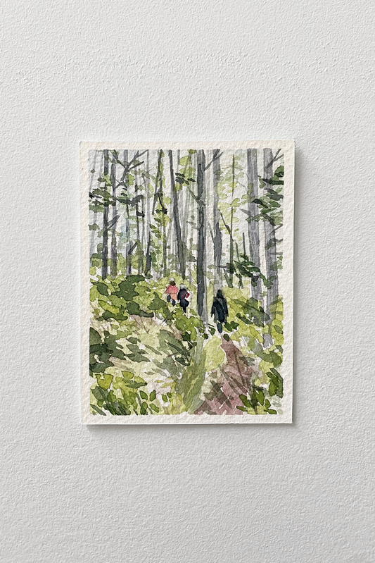 Shawnigan Lake Forest