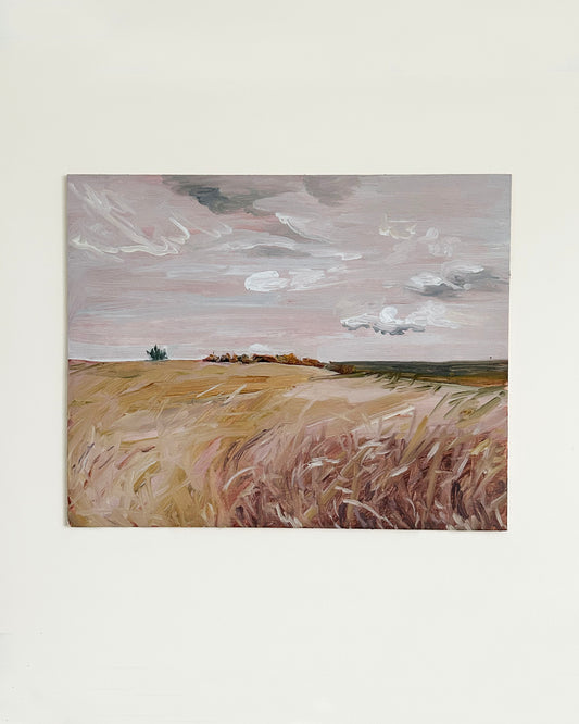 Nose Hill